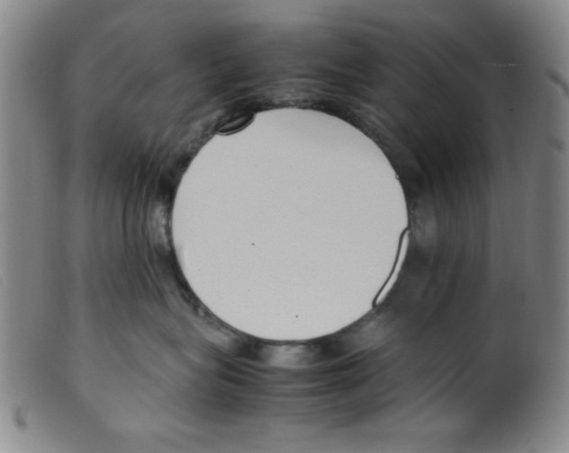 X0000098190575200805221520