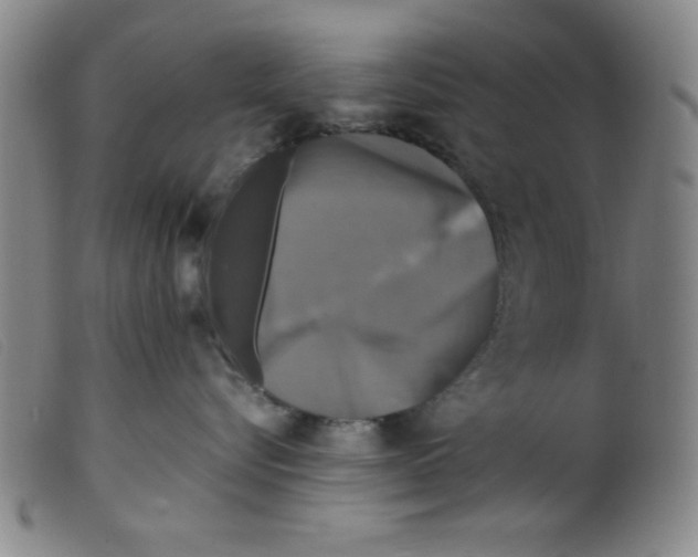 X0000098190576200805221520