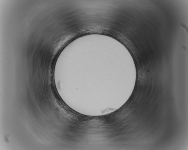 X0000098190578200805221519