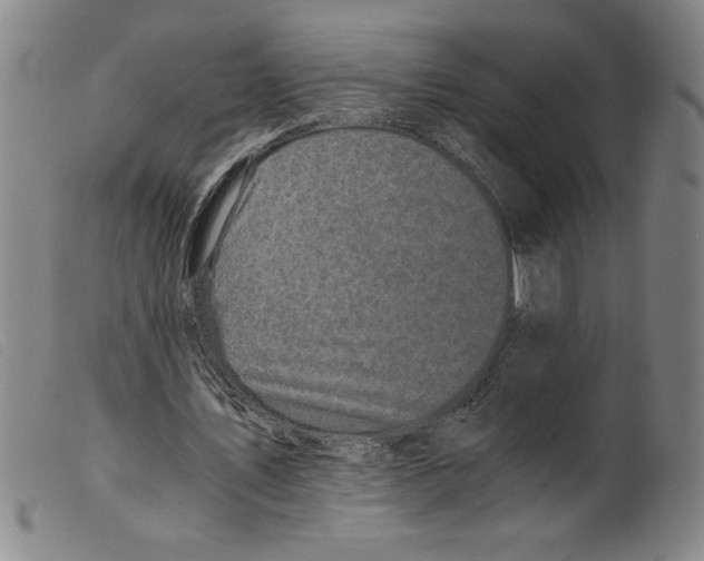 X0000098190579200805221519