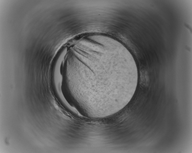 X0000098190580200805221519