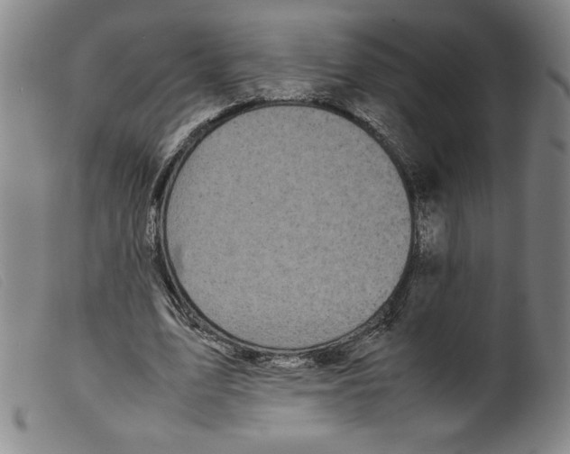 X0000098190583200805221519