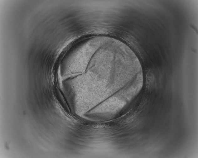 X0000098190584200805221519