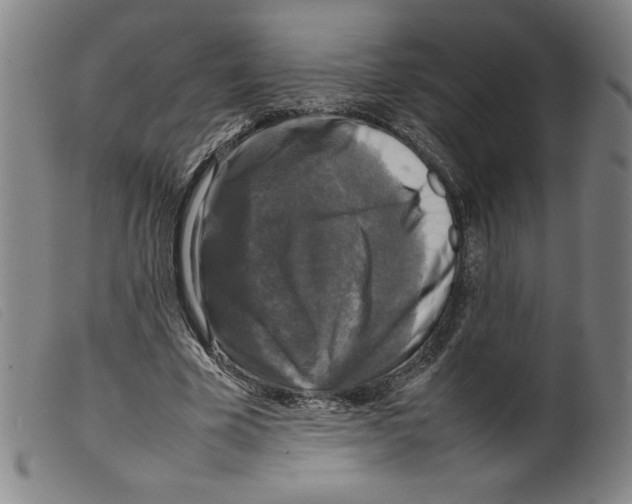 X0000098190585200805221519