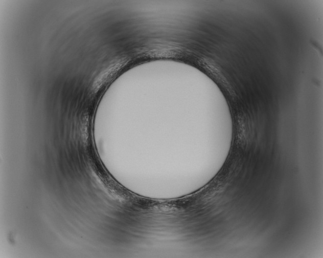 X0000098190586200805221519