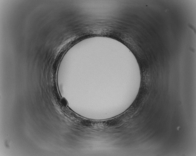 X0000098190587200805221519
