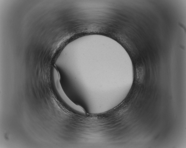 X0000098190588200805221519
