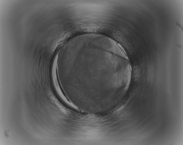 X0000098190589200805221519