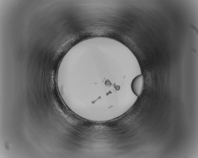 X0000098190590200805221519