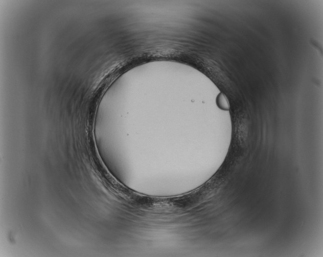 X0000098190591200805221519