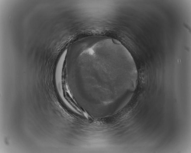 X0000098190593200805221519