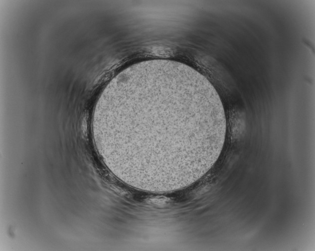 X0000098190595200805221519