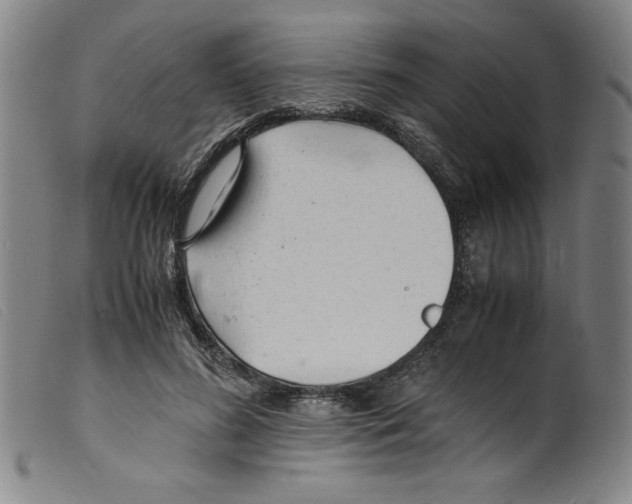 X0000098190596200805221519