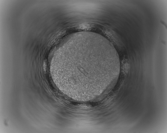 X0000098190597200805221519