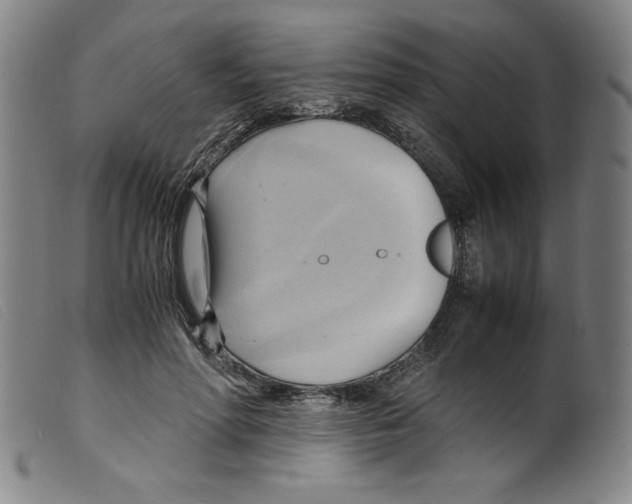X0000098190598200805221519
