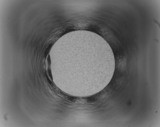 X0000098190599200805221519