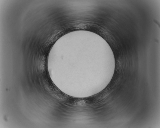 X0000098190600200805221519