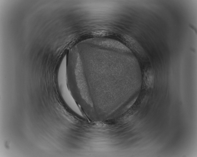 X0000098190601200805221519
