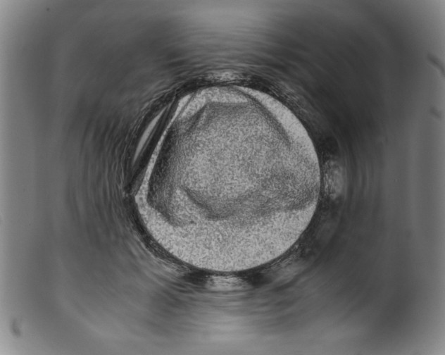 X0000098190605200805221519