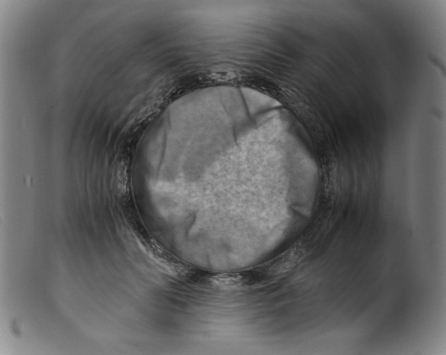 X0000098190606200805221519