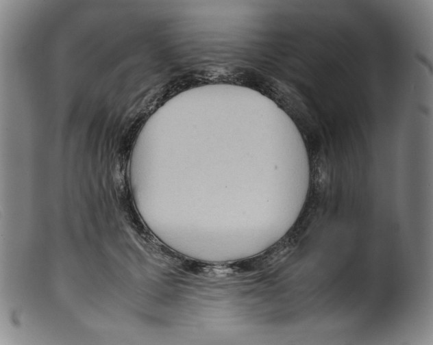X0000098190607200805221519