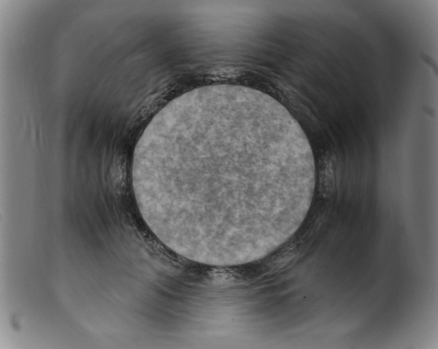 X0000098190608200805221519