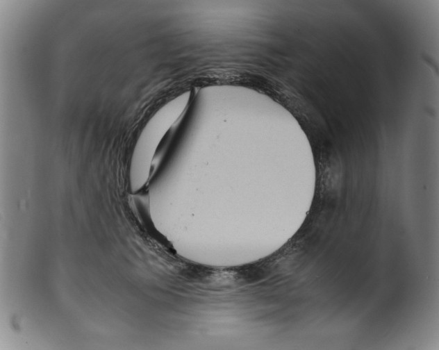 X0000098190609200805221519