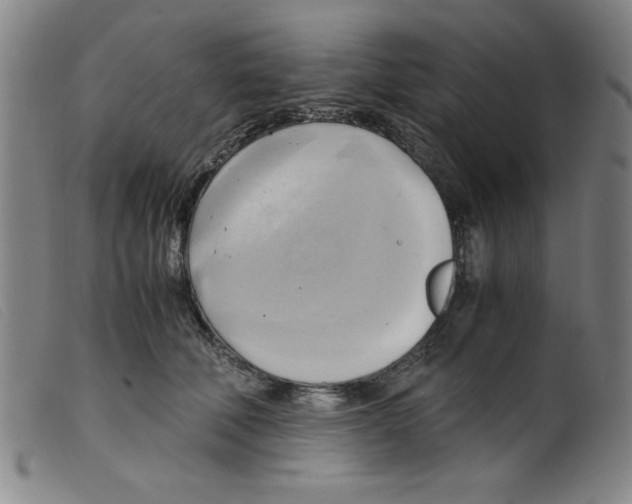 X0000098190610200805221519