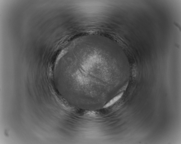 X0000098190611200805221519