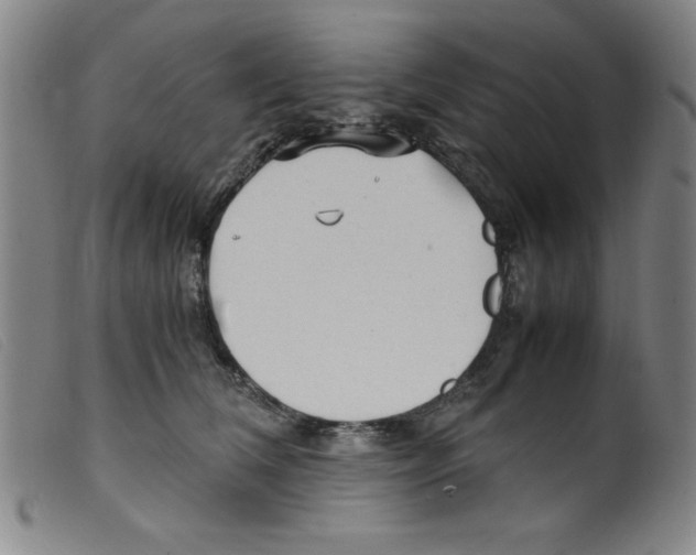 X0000098190612200805221519