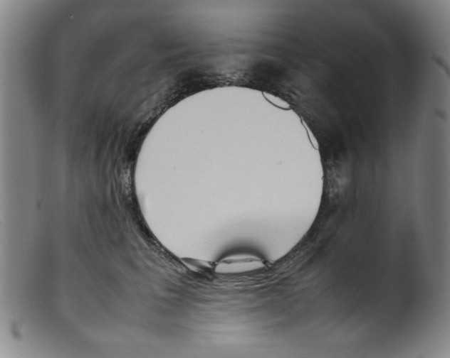 X0000098190613200805221519