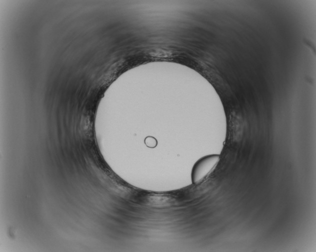 X0000098190614200805221519