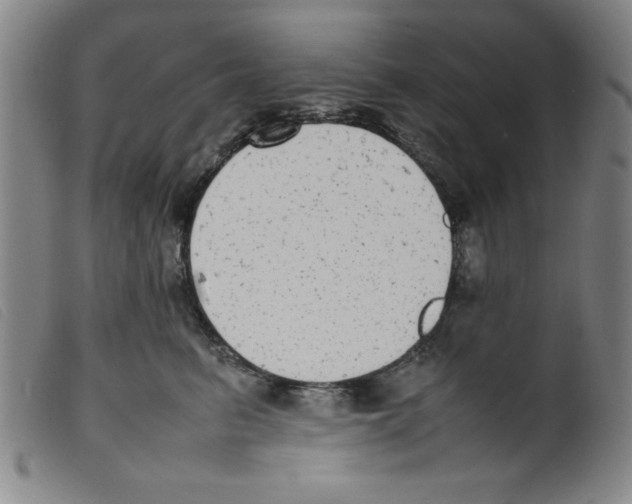X0000098190615200805221519