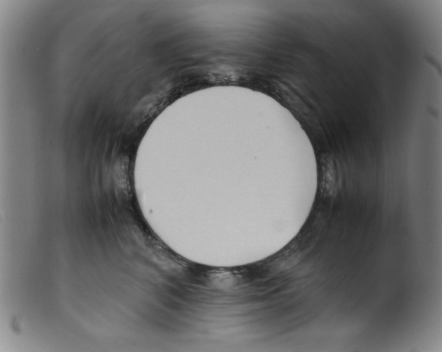 X0000098190616200805221519