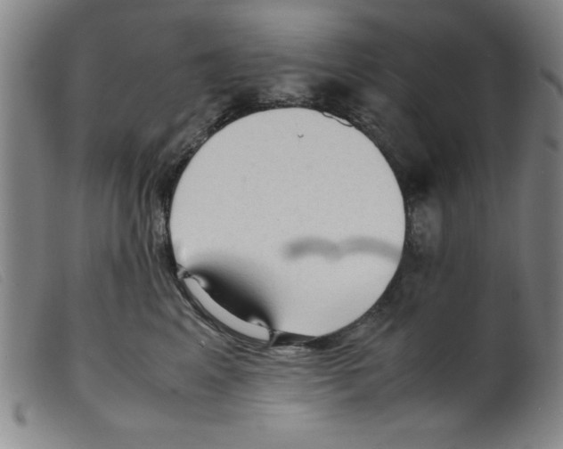 X0000098190617200805221519