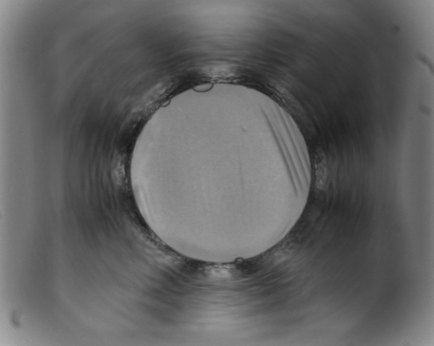 X0000098190618200805221519