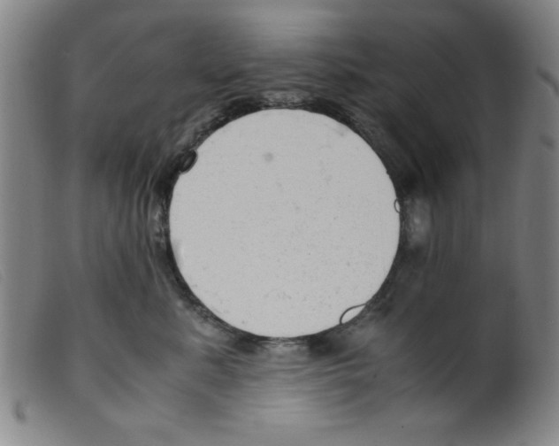 X0000098190619200805221519
