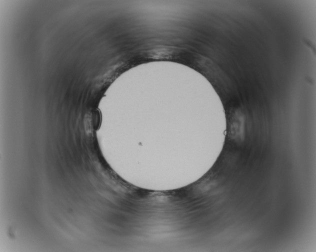 X0000098190620200805221519