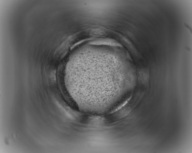 X0000098190621200805221519
