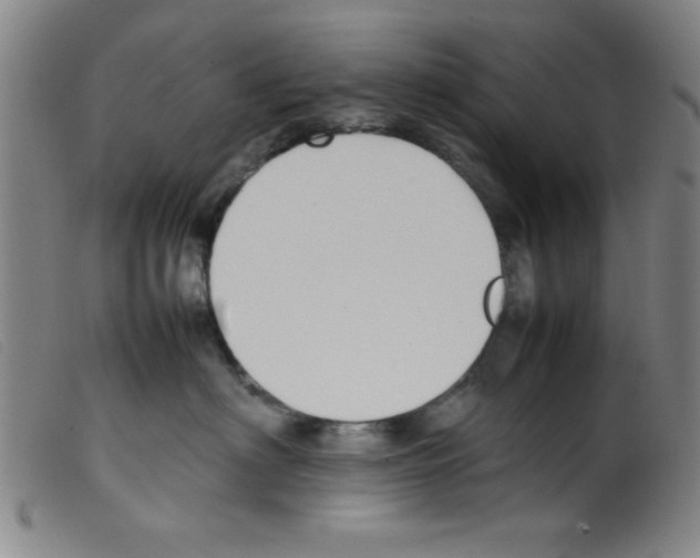 X0000098190622200805221519
