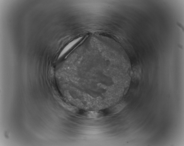 X0000098190623200805221519
