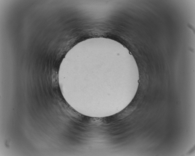 X0000098190624200805221519
