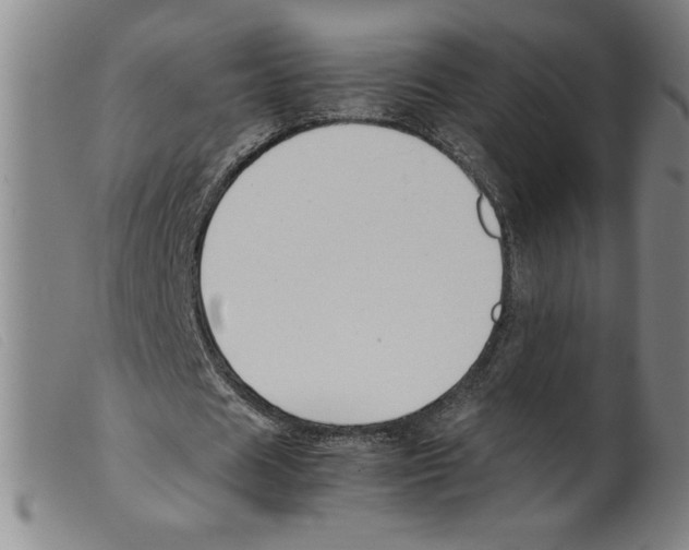 X0000098190625200805221518
