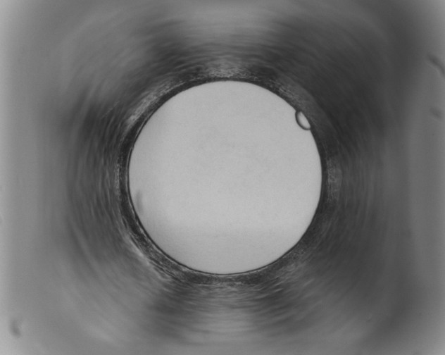 X0000098190626200805221518