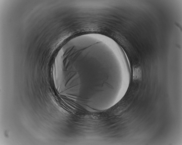 X0000098190627200805221518