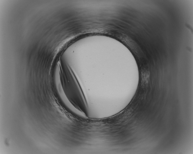 X0000098190628200805221518