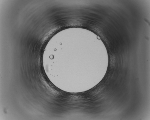 X0000098190629200805221518