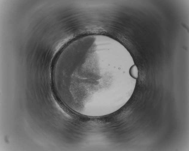 X0000098190630200805221518