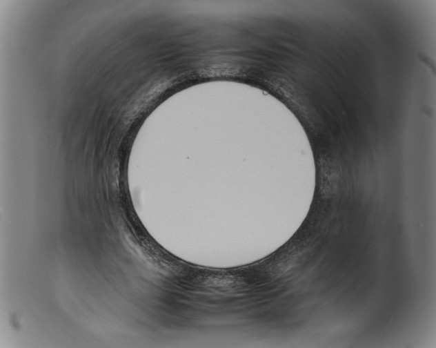 X0000098190631200805221518