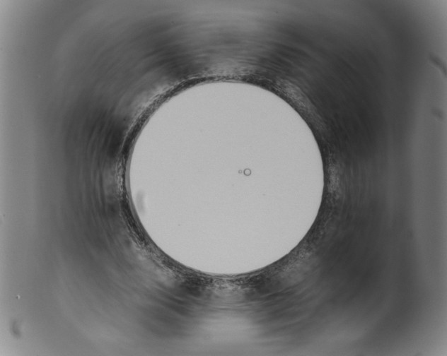 X0000098190632200805221518